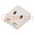 Connettore: a spina; DG2001; 3mm; binari: 2; 26AWG÷22AWG; 3A; SMT