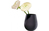 Villeroy & Boch 10-1682-5514 Vase Vase mit runder Form Porzellan Schwarz
