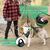 BLUZELLE Hundegeschirr Kleine Hunde, Reflektor Brustgeschirr mit Griff & Tasche für GPS Tracker, Anti-Zug Hundeweste Hund-Warnweste Atmungsaktiv, - S Schwarz 3