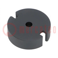 Core: ferrite; P; N48; 7600nH; 10500mm3; 202mm2; 2pcs.