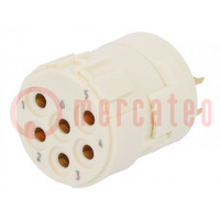 Connector: M23; contact insert; PIN: 6; female; soldering; 300V; 20A