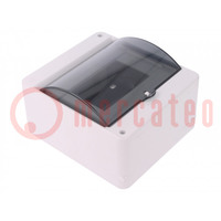 Enclosure: for modular components; IP30; wall mount; white; ABS
