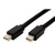ROLINE DisplayPort Cable, Mini DP - Mini DP, M/M, black, 2 m