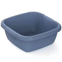Rotho 1782406161PCWS Wäschekorb 8 l Rechteckig Kunststoff Blau