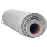 Epson Commercial Proofing Paper Roll, 13" x 30,5 m, 250g/m²