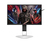 AOC AGON 1 AG251FZ2E pantalla para PC 62,2 cm (24.5") 1920 x 1080 Pixeles Full HD LCD Negro, Rojo