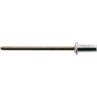 Popnagel spat/waterdicht Al/A2 platbolkop 3,2x9,5mm