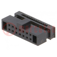 Conector: IDC; enchufe; hembra; PIN: 14; IDC; para cable cinta