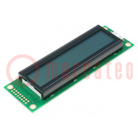 Display: LCD; alphanumerisch; STN Positive; 20x2; grau; LED; PIN: 16