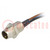 Connector: M8; 0.5m; male; PIN: 3; for panel mounting,screwed