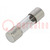 Fuse: fuse; time-lag; 32mA; 250VAC; cylindrical,glass; 5x20mm; 218