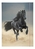 FOLIA 69001 CLASSEUR A3 BASIC BLACK HORSE EN CARTON SOLIDE AVEC ÉLASTIQUE