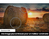 Samsung Series 6 TQ55Q65CAU 139,7 cm (55") 4K Ultra HD Smart TV Wifi Noir