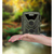 Braun Photo Technik Scouting Cam Black200A Mini CMOS Nachtvisie Zwart, Groen 1920 x 1080 Pixels