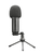 Trust GXT 252+ Emita Plus Black Studio microphone