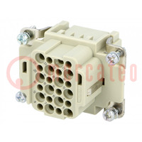 Connector: HDC; contactinzetstuk; vrouwelijk; Han® DD; PIN: 24