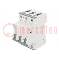Interruptor magnetotérmico; 230/400VAC; Itrab: 25A; polos: 3; 10kA