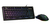 iogear GKM601 billentyűzet Egér mellékelve USB QWERTY Angol Fekete