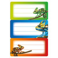 Schulbuch-Etikett Buchetikett Gecko, Papier, 76 x 35 cm, bunt/Gecko