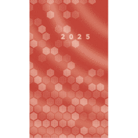 Taschenkalender TM12 8,7x15,3cm 1 Monat/2 Seiten Karton-Umschlag burgund 2025