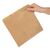Fiesta Brown Paper Counter Bags - Eco Alternative to Plastic Bags - Pack of 1000