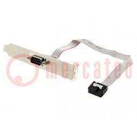 Adapter; D-Sub 9pin plug,10pin pin header; 0.25m