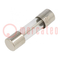 Fuse: fuse; time-lag; 3A; 250VAC; cylindrical,glass; 5x20mm; brass
