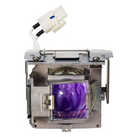 Viewsonic RLC-110 Projektorlampe