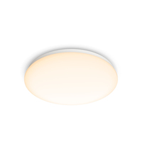 Philips Functional Moire Ceiling Light 17 W