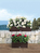 LECHUZA BALCONERA Cottage 50 Draußen Pflanzgefäß Wand-montiert Polypropylen (PP) Weiß