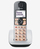 Panasonic KX-TGE510GS telefon DECT telefon Hívóazonosító Fekete, Ezüst
