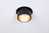 Paulmann Gil Coin Oppervlak-spotverlichting Zwart, Goud LED G