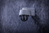 ABUS PPIC42520 caméra de sécurité Dôme Caméra de sécurité IP Intérieure et extérieure Mur