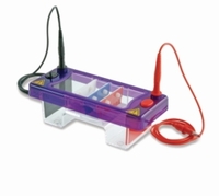 Gel electrophoresis tank MultiSUB Mini Description MultiSUB Mini 10