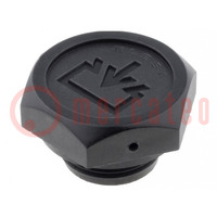 Fill plug; diameter 2 mm side breather hole; Thread: M22