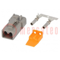 Connector: wire-wire; plug; female; DTP; for cable; PIN: 2; crimped