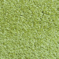 Miltex Schmutzfangmatte Eazycare Color Größe: 120,0 x 180,0 cm Version: 5 - grün