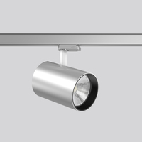 RZB DEECOS S maxi Schienenlichtschranke Silber LED