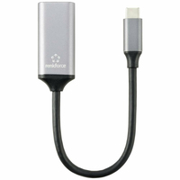 Renkforce RF-5397866 Videokabel-Adapter 0,15 m DisplayPort USB-C Schwarz, Silber