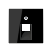 JUNG A569-1PLUASW veiligheidsplaatje voor stopcontacten