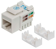 Intellinet JACK RJ45 CAT6 KEYSTONE DE IMPACTO BLANCO