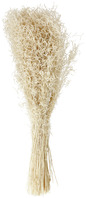 Trockenblumenbundle Akemi; 60 cm (L); natur