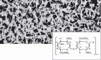 Filtri a membrana acetato di cellulosa Tipo 111