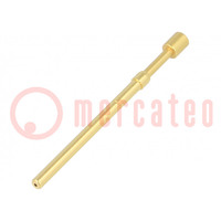 Test needle; Operational spring compression: 4.2mm; 3A; Ø: 2.5mm