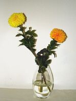 Artificial Silk Chrysanthemum - 30cm, Yellow/Orange glass vase, permanent water