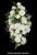 Artificial Silk Mixed Wedding Flower Panel - 60cm x 30cm, White