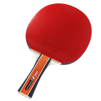 Cornilleau Sport 300 Tischtennisplatte Schwarz, Rot
