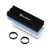 Silverstone SST-TP02-M2 sistema de refrigeración para ordenador Memory Stick (MS) Disipador térmico/Radiador Negro