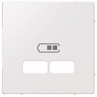 Merten Zenplatte für USB Ladestation-Einsatz
