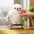 Wizarding World Harry Potter - Interaktive Plüsch-Eule Hedwig mit über 15 Geräuschen und Bewegungen